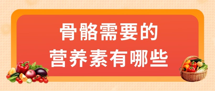 骨骼需要的營養素有哪些？